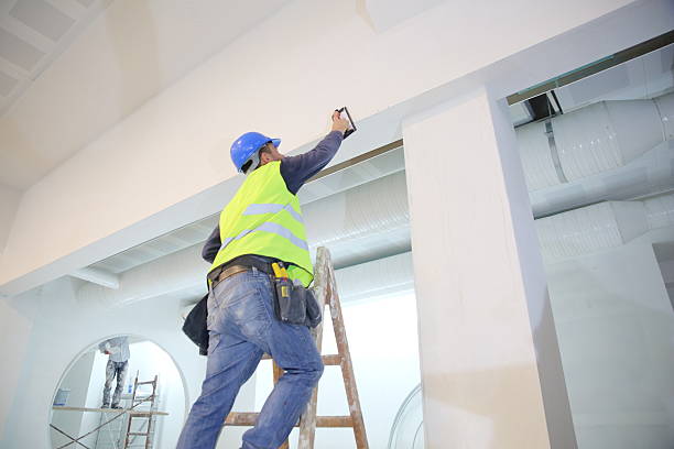 Best Fire-Damaged Drywall Repair  in Bainbridge, OH