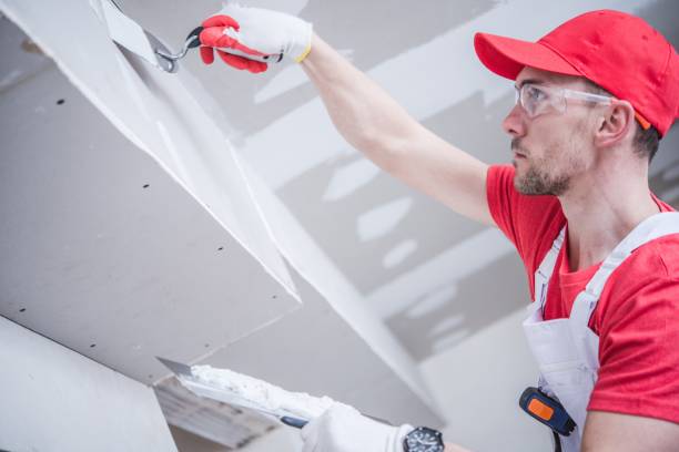 Best Drywall Repair  in Bainbridge, OH